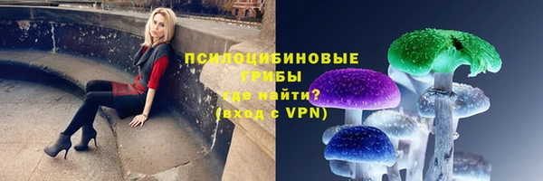 СК Костерёво