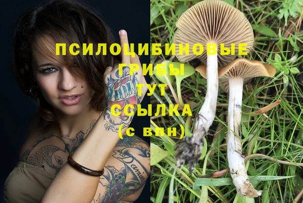 mdma Коряжма