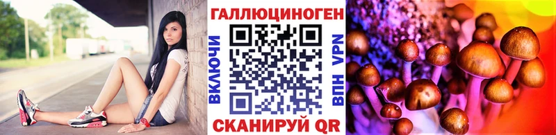 Галлюциногенные грибы мицелий  Купить закладки  Куса 